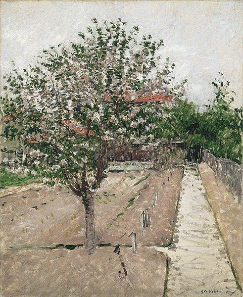 Gustave Caillebotte Apple Tree in Bloom France oil painting art